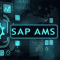 What Makes SAP AMS The Best Choice?